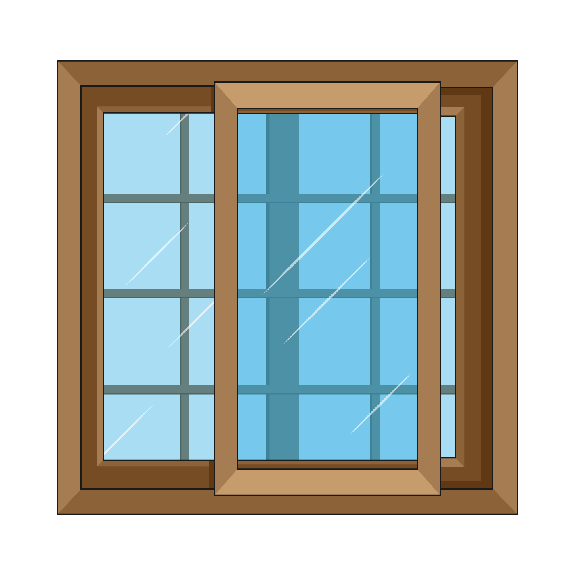 Window Image
